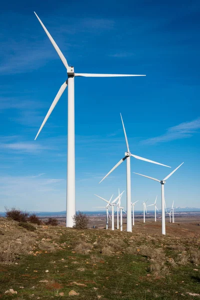 Windräder Auf Dem Feld — Stockfoto