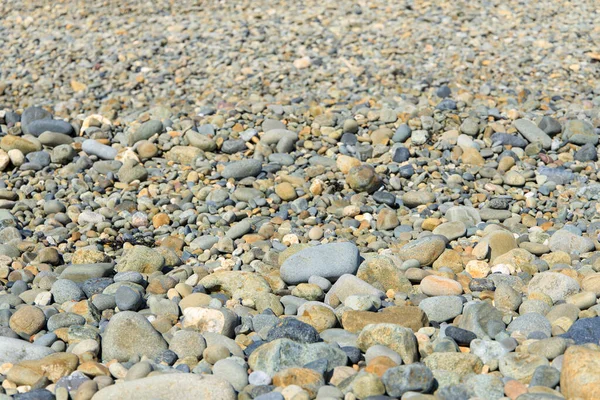 Steine Strand — Stockfoto