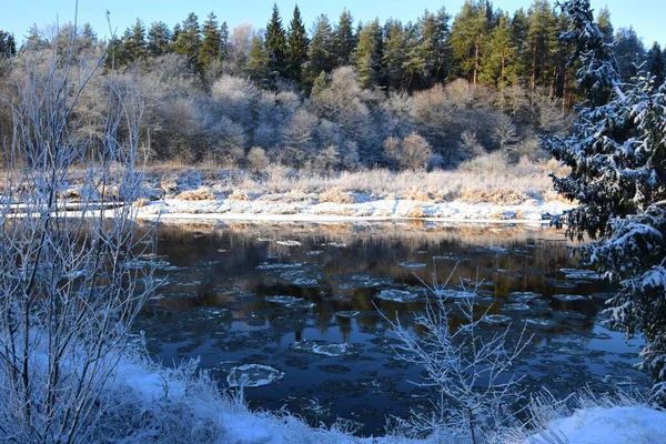 Vinterlandskap Med Snötäckta Träd — Stockfoto