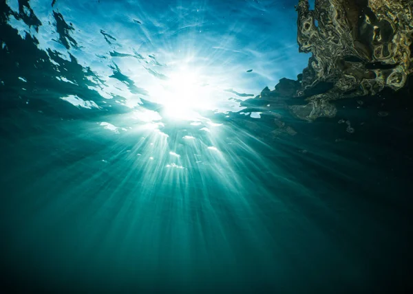 Υποβρύχια Θέα Μιας Όμορφης Τροπικής Θάλασσας — Φωτογραφία Αρχείου