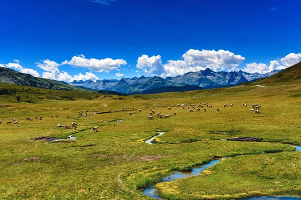 Krásná Krajina Jezerem Horách — Stock fotografie