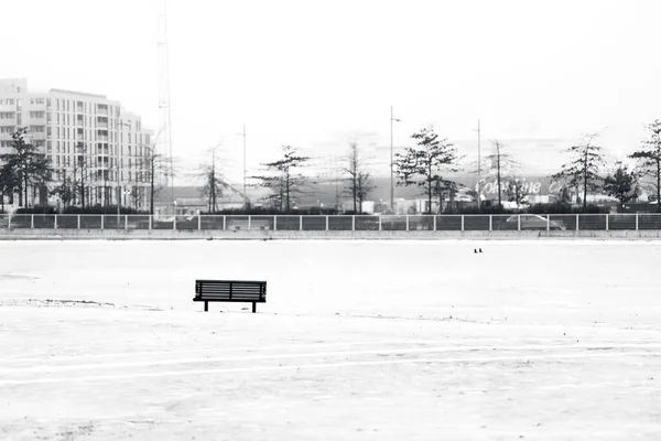 Parque Invierno Ciudad — Foto de Stock