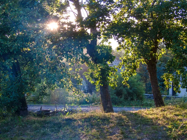 Красивый Закат Парке — стоковое фото