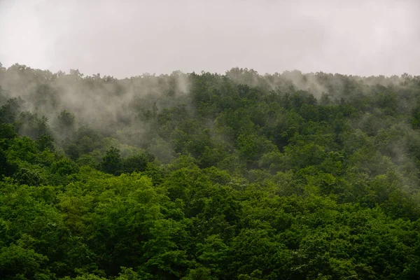 Wunderschöne Landschaft Mit Einem Berg Wald — Stockfoto