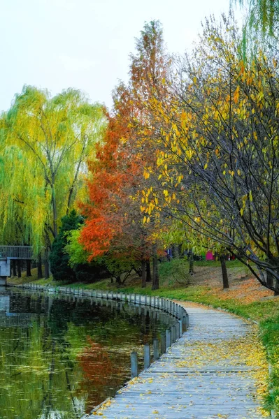 Осенний Парк Городе Низовьях — стоковое фото