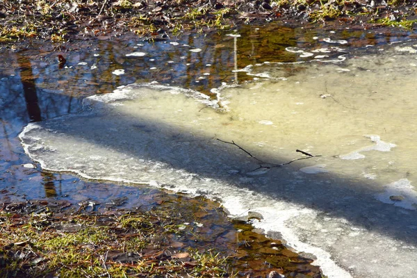 Belle Vue Sur Rivière Dans Parc — Photo