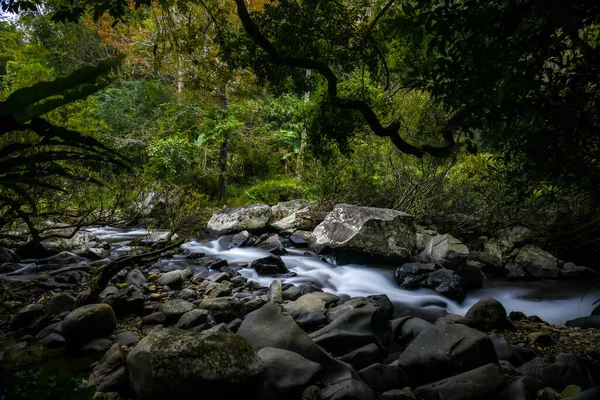 Ormanda Güzel Bir Şelale — Stok fotoğraf