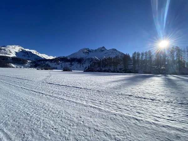 Bela Paisagem Inverno Com Árvores Cobertas Neve — Fotografia de Stock