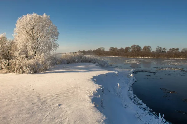 Winterlandschaft Mit Schnee Und Bäumen — Stockfoto