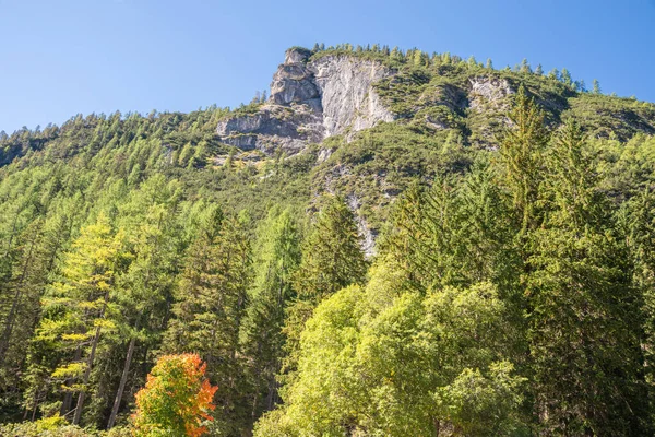 Incrível Paisagem Montanhosa Com Árvores Verdes — Fotografia de Stock