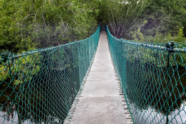 Parktaki Köprü — Stok fotoğraf