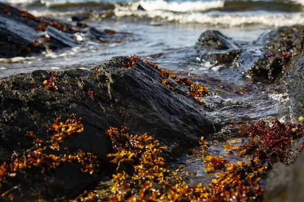 Морські Хвилі Пляжі — стокове фото