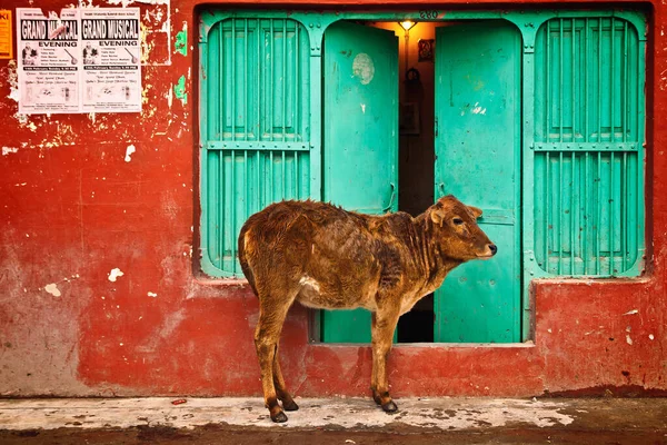 Hagyományos Indiai Ház Város Chefchaouen Morocco — Stock Fotó