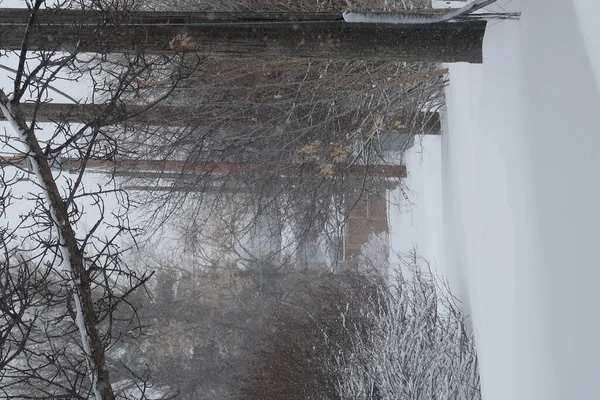 Paisaje Invernal Con Árboles Cubiertos Nieve — Foto de Stock