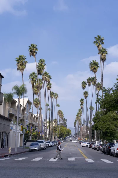Şehirde Palmiye Ağaçları — Stok fotoğraf
