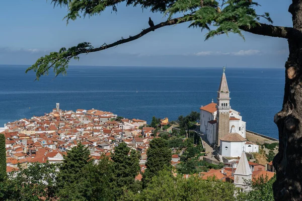 Vista Ciudad Dubrovnik Croacia — Foto de Stock