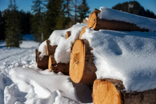 Karda Yakacak Odun Yığını — Stok fotoğraf