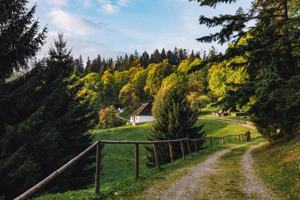 Beau Paysage Avec Une Route Montagne Dans Les Montagnes — Photo