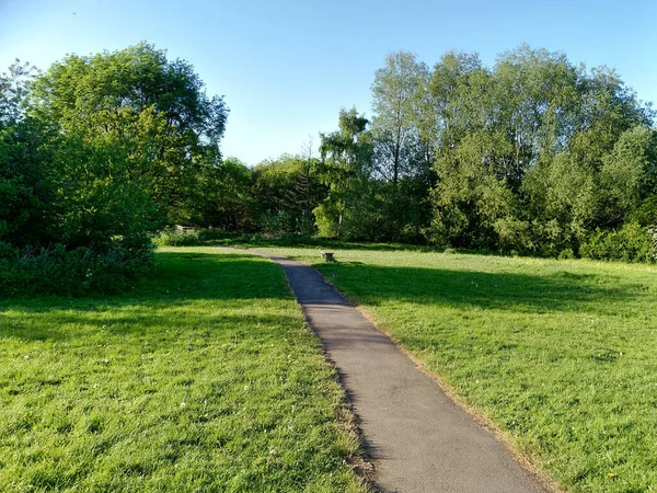 Groen Park Zomer — Stockfoto