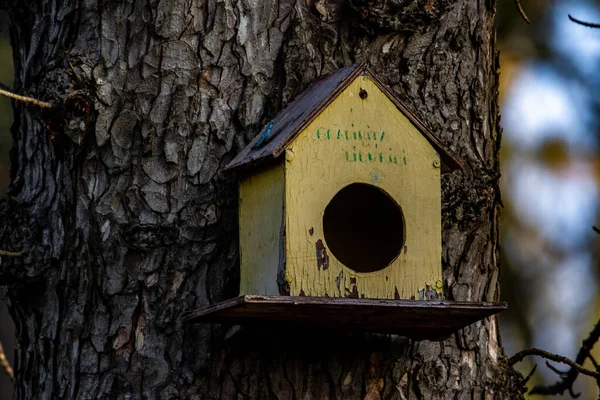 Erdő Öreg Birdhouse — Stock Fotó