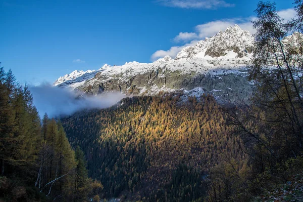 雪と木の美しい山の風景 — ストック写真