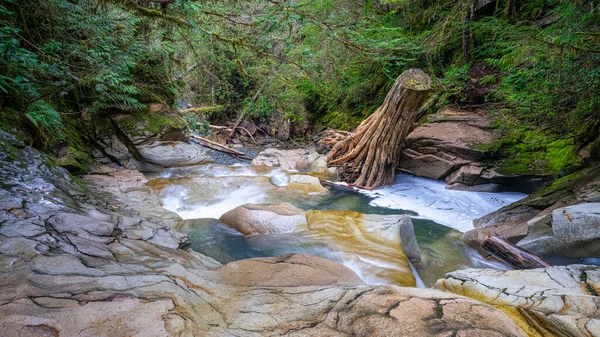 Hermoso Río Bosque Sobre Fondo Naturaleza — Foto de Stock