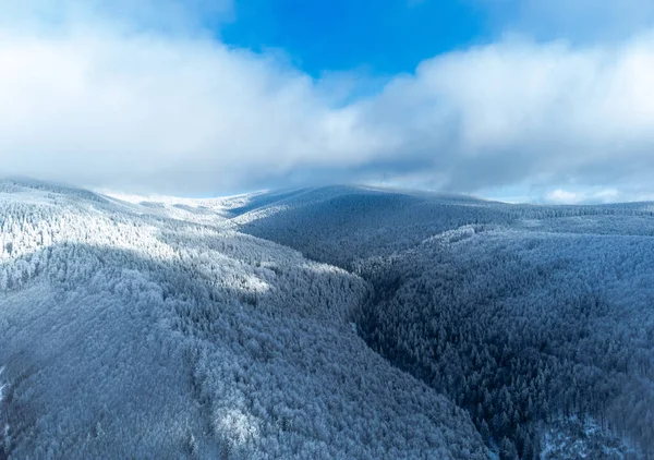 Красивий Зимовий Пейзаж Засніженими Деревами — стокове фото