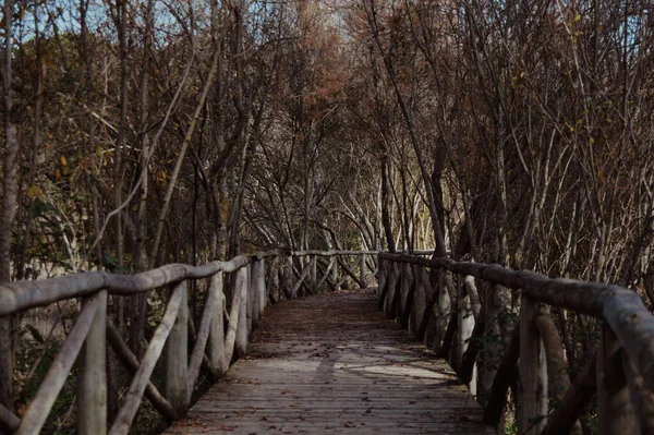 Hermosa Vista Del Parque — Foto de Stock