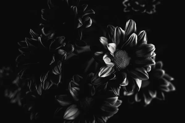 꽃으로 이루어진 아름다운 꽃꽂이 — 스톡 사진