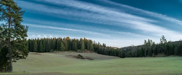 Bela Paisagem Com Campo Árvores — Fotografia de Stock