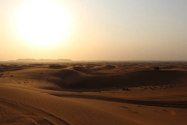 Hermoso Atardecer Desierto — Foto de Stock