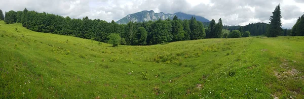 Krásná Krajina Horami Zelená Tráva — Stock fotografie