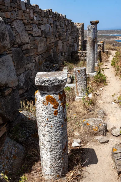 Ruines Antiques Ville Ephèse Dinde — Photo