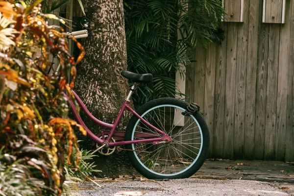 Bicicleta Jardim — Fotografia de Stock