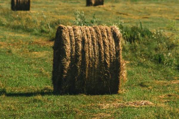 Hay Bale Field — Stock Photo, Image