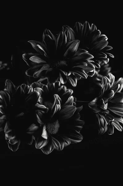 Sfondo Bianco Nero Monocromatico Con Bel Motivo Floreale — Foto Stock