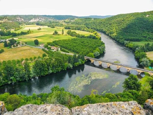 Vista Aérea Del Río Bosque Verde —  Fotos de Stock