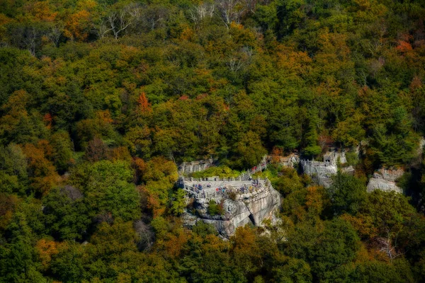 Schöne Herbstlandschaft Mit Bäumen Und Wald — Stockfoto