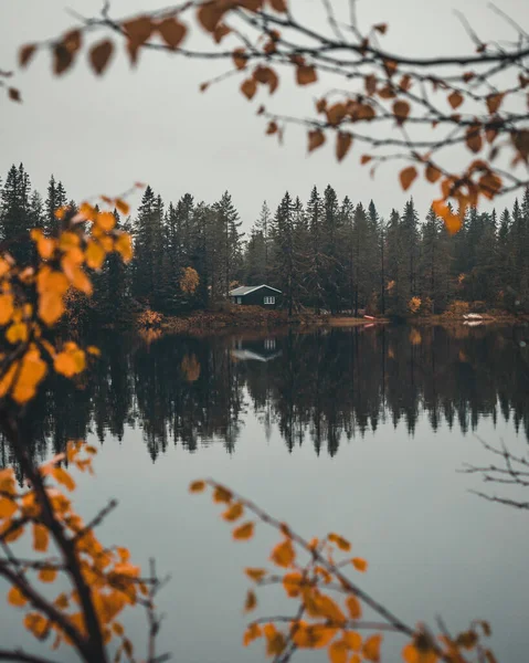 Pemandangan Musim Gugur Dengan Pantulan Pepohonan Dan Refleksi — Stok Foto