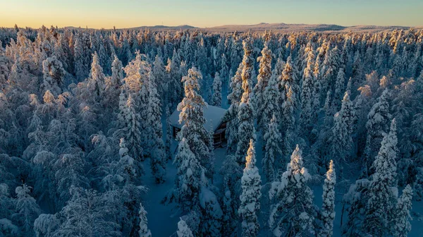 雪に覆われた木々の冬の風景 — ストック写真