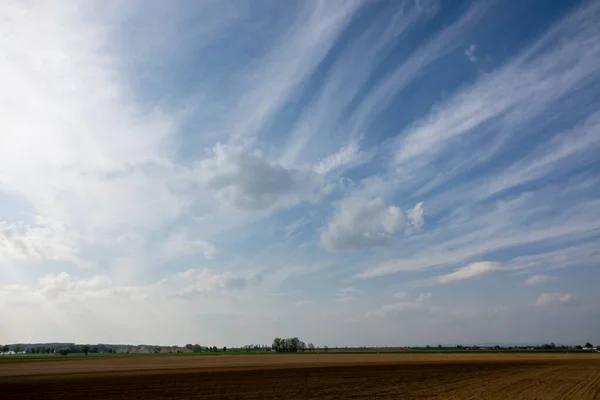 青空に白い雲が立ち並ぶ小麦畑の美しいショット — ストック写真