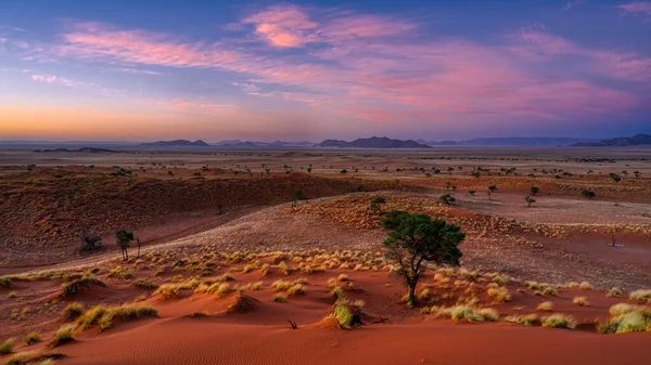 Красивий Захід Сонця Пустелі — стокове фото