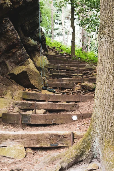 Старая Деревянная Лестница Лесу — стоковое фото