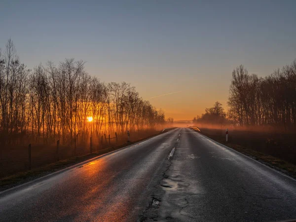 Straße Wald — Stockfoto