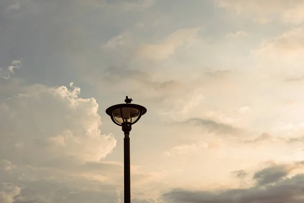 空を背景に街灯が見えます — ストック写真