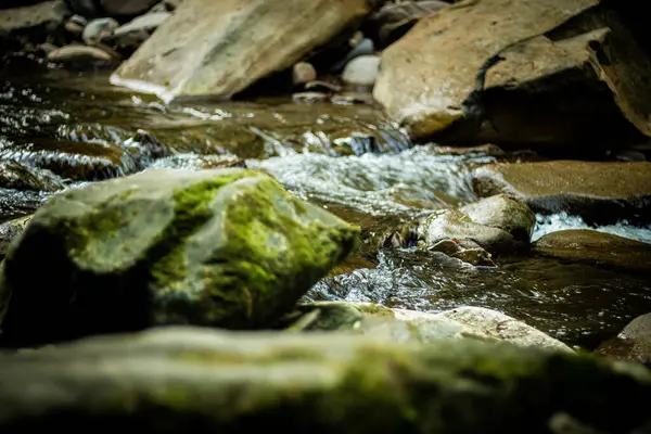 Bela Cachoeira Floresta — Fotografia de Stock