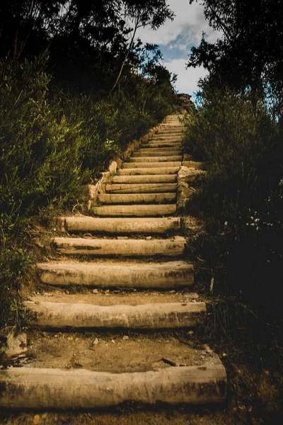 Escadas Floresta — Fotografia de Stock