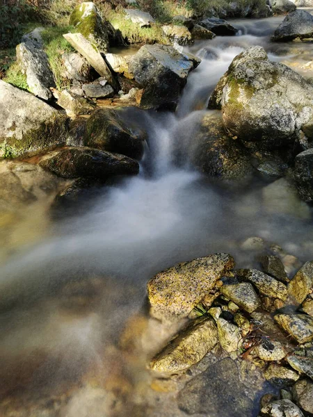 Belle Cascade Dans Forêt — Photo