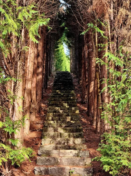 Old Stone Road Staircase — Stock Photo, Image