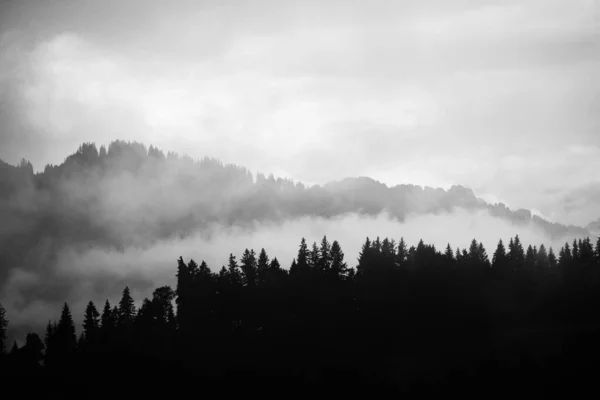 Prachtig Landschap Met Bomen Wolken — Stockfoto